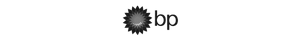 BP mono colour logo